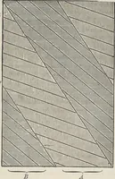 An illustration from Colour in woven design (1890)