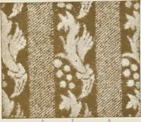 An illustration from Colour in woven design (1890)