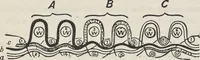 An illustration from Colour in woven design (1890)