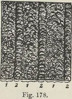 An illustration from Colour in woven design (1890)