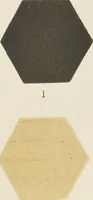 An illustration from Colour in woven design (1890)