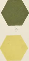 Picture 8 of 156 from Colour in woven design (1890), leaf 66