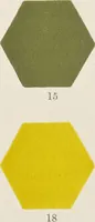 Picture 9 of 156 from Colour in woven design (1890), leaf 66