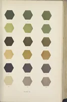 Picture 11 of 156 from Colour in woven design (1890), leaf 88
