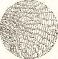 An illustration from A treatise on optics (1839)