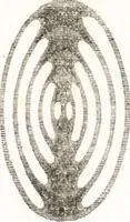 An illustration from A treatise on optics (1839)