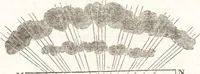 An illustration from A treatise on optics (1839)
