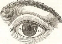 An illustration from A treatise on optics (1839)