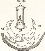 An illustration from A treatise on optics (1839)