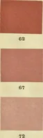 An illustration from Code des couleurs : à l'usage des naturalistes, artistes, commerçants et industriels : 720 échantillons de couleurs classés d'après la méthode Chevreul simplifiée (1908)