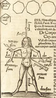 An illustration from Margarita philosophica (1503)