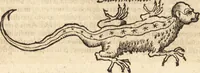 An illustration from Margarita philosophica (1503)