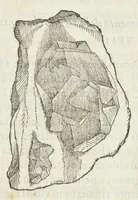 Picture 3 of 16 from Dell'historia natvrale di Ferrante Imperato napoletano libri XXVIII : nella qvale ordinatamente si tratta della diuersa condition di miniere e pietre : con alcune historie di piante & animali, sin'hora non date in luce (1599), leaf 492