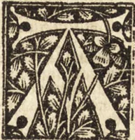 An illustration from Illuminati sacre pagine p.fessoris amplissimi magistri Raymundi Lull. Ars magna, generalis et vltima : quarũcunq3 artium [et] scientiarum ipsius Lull. assecutrix et clauigera : [et] ad eas aditum faciliorẽ prebẽs, antehac nusq̃3 arti impressorie emũctius cõmendata (1517)