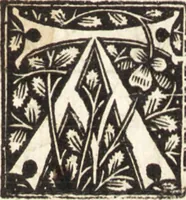 An illustration from Illuminati sacre pagine p.fessoris amplissimi magistri Raymundi Lull. Ars magna, generalis et vltima : quarũcunq3 artium [et] scientiarum ipsius Lull. assecutrix et clauigera : [et] ad eas aditum faciliorẽ prebẽs, antehac nusq̃3 arti impressorie emũctius cõmendata (1517)