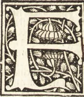 Picture 13 of 27 from Illuminati sacre pagine p.fessoris amplissimi magistri Raymundi Lull. Ars magna, generalis et vltima : quarũcunq3 artium [et] scientiarum ipsius Lull. assecutrix et clauigera : [et] ad eas aditum faciliorẽ prebẽs, antehac nusq̃3 arti impressorie emũctius cõmendata (1517), leaf 82