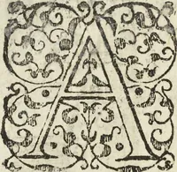 An illustration from Les raisons des forces mouuantes auec diuerses machines tant vtilles que plaisantes aus quelles sont adioints plusieurs desseings de grotes et fontaines (1615)