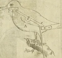 An illustration from Les raisons des forces mouuantes auec diuerses machines tant vtilles que plaisantes aus quelles sont adioints plusieurs desseings de grotes et fontaines (1615)