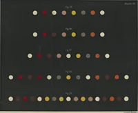 An illustration from De la loi du contraste simultané des couleurs et de l'assortiment des objets colorés : considéré d'après cette loi dans ses rapports avec la peinture, les tapisseries des gobelins, les tapisseries de Beauvais pour meubles, les tapis, la mosaique, les vitraux colorés, l'impression des étoffes, l'imprimerie, l'enluminure, la decoration des édifices, l'habillement et l'horticulture (1889)