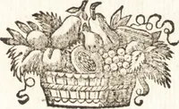 An illustration from L'optique des couleurs : fondée sur les simples observations, & tournée sur-tout à la pratique de la peinture, de la teinture, & des autres arts coloristes (1740)