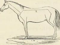An illustration from The art of painting portraits, landscapes, animals, draperies, satins, &c. in oil colours : practically explained by coloured palettes : with an appendix on cleaning and restoring ancient paintings on panel or canvas (1840)
