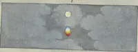 Picture 3 of 10 from A new elucidation of colours, original, prismatic, and material : showing their concordance in three primitives, yellow, red, and blue, and the means of producing, measuring, and mixing them : with some observations on the accuracy of Sir Isaac Newton (1809), leaf 62