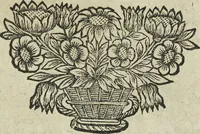 An illustration from Oculus artificialis teledioptricus, sive, Telescopium : ex abditis rerum naturalium & artificialium principiis protractum novâ methodo, eâque solidâ explicatum ac comprimis è triplici fundamento physico seu naturali, mathematico dioptrico et mechanico, seu practico stabilitum ... (1685)