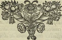 An illustration from Oculus artificialis teledioptricus, sive, Telescopium : ex abditis rerum naturalium & artificialium principiis protractum novâ methodo, eâque solidâ explicatum ac comprimis è triplici fundamento physico seu naturali, mathematico dioptrico et mechanico, seu practico stabilitum ... (1685)