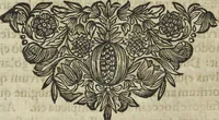 An illustration from Oculus artificialis teledioptricus, sive, Telescopium : ex abditis rerum naturalium & artificialium principiis protractum novâ methodo, eâque solidâ explicatum ac comprimis è triplici fundamento physico seu naturali, mathematico dioptrico et mechanico, seu practico stabilitum ... (1685)