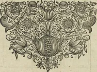 An illustration from Oculus artificialis teledioptricus, sive, Telescopium : ex abditis rerum naturalium & artificialium principiis protractum novâ methodo, eâque solidâ explicatum ac comprimis è triplici fundamento physico seu naturali, mathematico dioptrico et mechanico, seu practico stabilitum ... (1685)