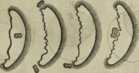 An illustration from Oculus artificialis teledioptricus, sive, Telescopium : ex abditis rerum naturalium & artificialium principiis protractum novâ methodo, eâque solidâ explicatum ac comprimis è triplici fundamento physico seu naturali, mathematico dioptrico et mechanico, seu practico stabilitum ... (1685)