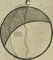 An illustration from Oculus artificialis teledioptricus, sive, Telescopium : ex abditis rerum naturalium & artificialium principiis protractum novâ methodo, eâque solidâ explicatum ac comprimis è triplici fundamento physico seu naturali, mathematico dioptrico et mechanico, seu practico stabilitum ... (1685)