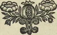 An illustration from Oculus artificialis teledioptricus, sive, Telescopium : ex abditis rerum naturalium & artificialium principiis protractum novâ methodo, eâque solidâ explicatum ac comprimis è triplici fundamento physico seu naturali, mathematico dioptrico et mechanico, seu practico stabilitum ... (1685)