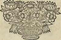 An illustration from Oculus artificialis teledioptricus, sive, Telescopium : ex abditis rerum naturalium & artificialium principiis protractum novâ methodo, eâque solidâ explicatum ac comprimis è triplici fundamento physico seu naturali, mathematico dioptrico et mechanico, seu practico stabilitum ... (1685)