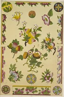Picture 263 of 387 from The grammar of ornament (1868), leaf 230