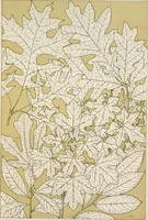 Picture 382 of 387 from The grammar of ornament (1868), leaf 366