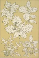 An illustration from The grammar of ornament (1868)