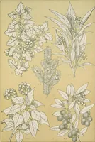 An illustration from The grammar of ornament (1868)