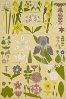 Picture 385 of 387 from The grammar of ornament (1868), leaf 374
