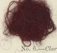Picture 18 of 31 from The American practical dyer's companion : comprising a description of the principal dye-stuffs and chemicals used in dyeing, their nature and uses, mordants, and how made : with the best American, English, French, and German processes ... embracing in all over eight hundred receipts for colors and shades, accompanied by one hundred and seventy dyed samples of raw materials and fabrics (1882), leaf 152