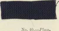 An illustration from The American practical dyer's companion : comprising a description of the principal dye-stuffs and chemicals used in dyeing, their nature and uses, mordants, and how made : with the best American, English, French, and German processes ... embracing in all over eight hundred receipts for colors and shades, accompanied by one hundred and seventy dyed samples of raw materials and fabrics (1882)