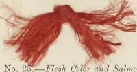 Picture 1 of 31 from The American practical dyer's companion : comprising a description of the principal dye-stuffs and chemicals used in dyeing, their nature and uses, mordants, and how made : with the best American, English, French, and German processes ... embracing in all over eight hundred receipts for colors and shades, accompanied by one hundred and seventy dyed samples of raw materials and fabrics (1882), leaf 58