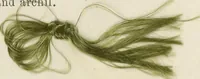An illustration from The American practical dyer's companion : comprising a description of the principal dye-stuffs and chemicals used in dyeing, their nature and uses, mordants, and how made : with the best American, English, French, and German processes ... embracing in all over eight hundred receipts for colors and shades, accompanied by one hundred and seventy dyed samples of raw materials and fabrics (1882)