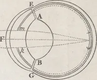 An illustration from Opticks, or, A treatise of the reflexions, refractions, inflexions and colours of light ; Also two treatises of the species and magnitude of curvilinear figures (1704)
