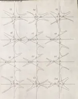 Picture 22 of 28 from Opticks, or, A treatise of the reflexions, refractions, inflexions and colours of light ; Also two treatises of the species and magnitude of curvilinear figures (1704), leaf 332