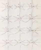 An illustration from Opticks, or, A treatise of the reflexions, refractions, inflexions and colours of light ; Also two treatises of the species and magnitude of curvilinear figures (1704)