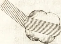 An illustration from Nouuelles obseruations et conjectures sur l'iris (1650)