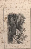 An illustration from The art of drawing in its various branches : exemplified in a course of twenty-eight progressive lessons, calculated to afford those who are unacquainted with the art, the means of acquiring a competent knowledge without the aid of a master : being the only work of the kind in which the principles of effect are explained in a clear, methodical, and at the same time familiar style (1827)