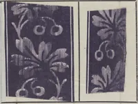 An illustration from Traité théorique et pratique de l'impression des tissus (1846)