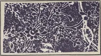 An illustration from Traité théorique et pratique de l'impression des tissus (1846)